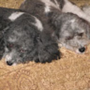 Meet your Posher, Mary